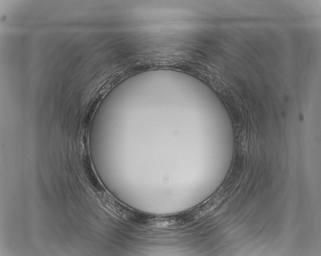 X0000061740746200512021040