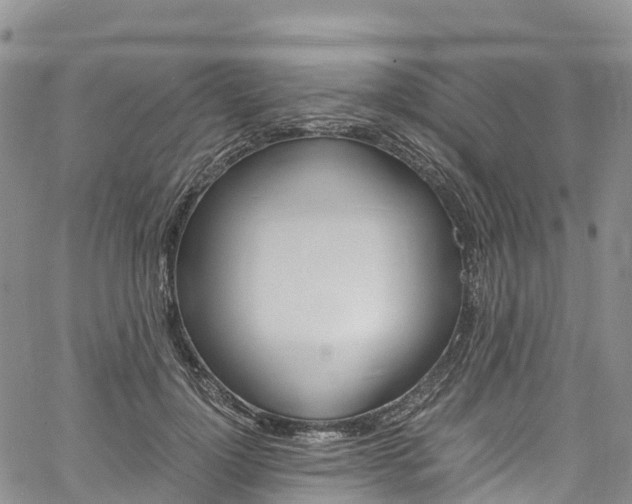 X0000061740748200512021040