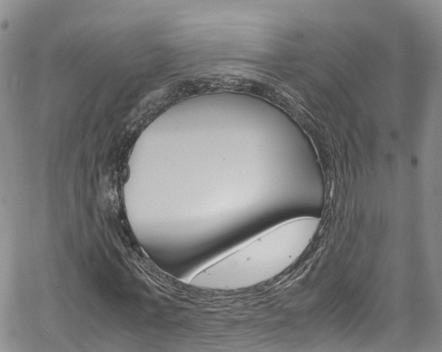 X0000061740771200512021040