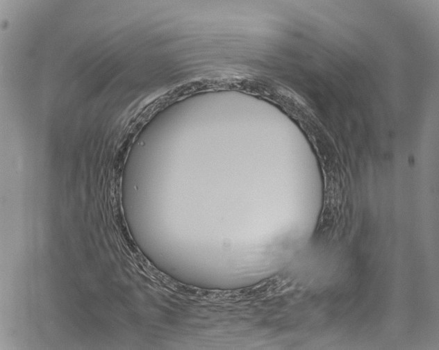 X0000061740773200512021040