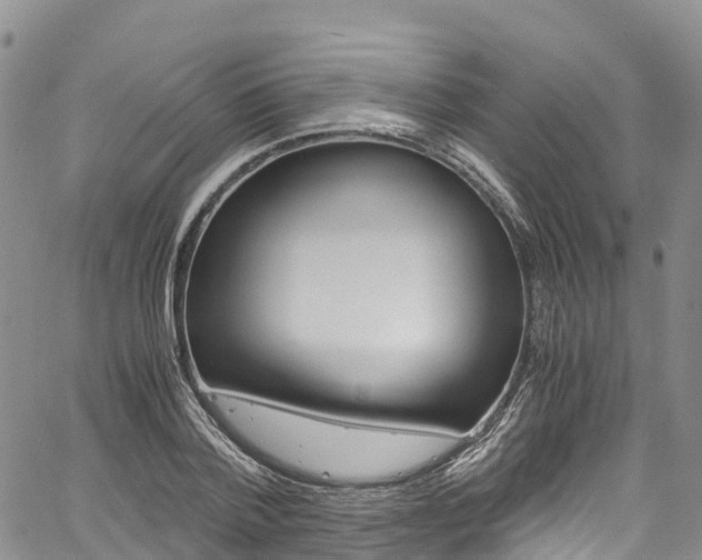 X0000061740788200512021040