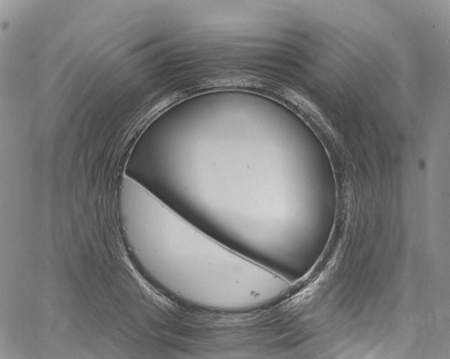X0000061740841200512021039