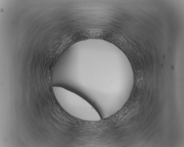 X0000061740866200512021038