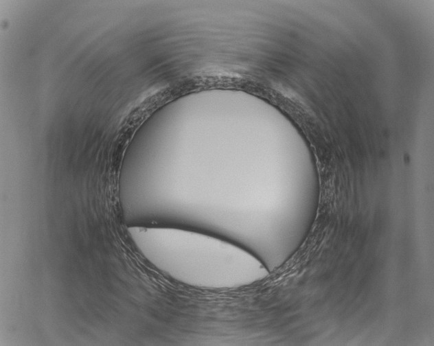 X0000061740870200512021038