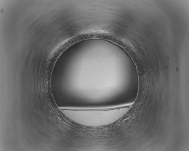 X0000061740872200512021038