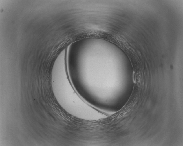X0000061740916200512021037