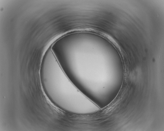 X0000061740951200512021037