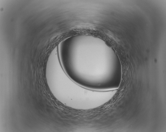 X0000061740965200512021037