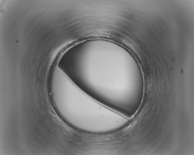 X0000061740979200512021037