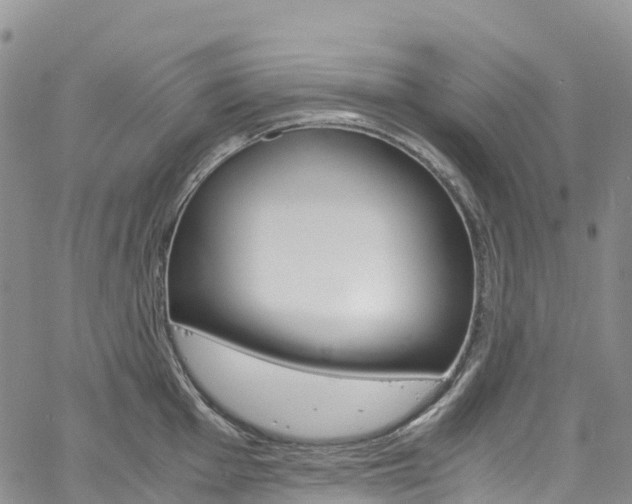 X0000061741001200512021036