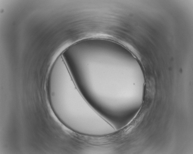 X0000061741007200512021036