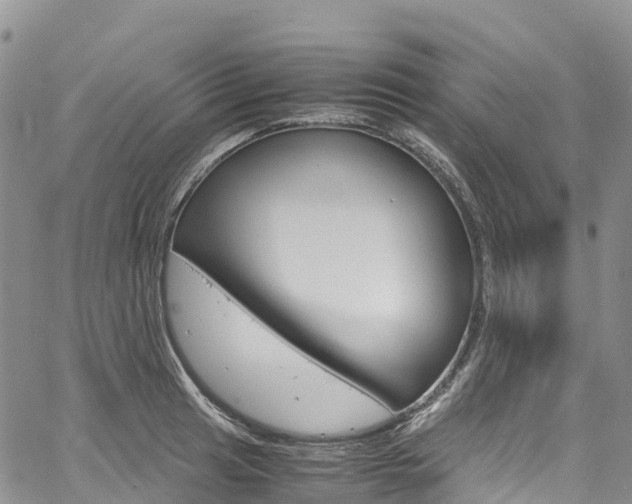X0000061741041200512021036