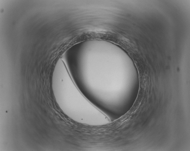 X0000061741061200512021035