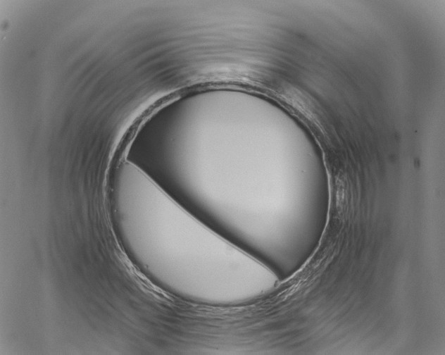 X0000061741068200512021035