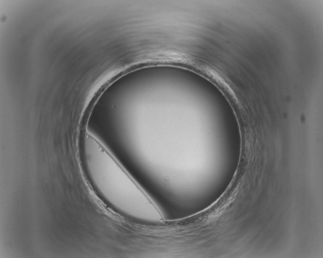 X0000061741085200512021035