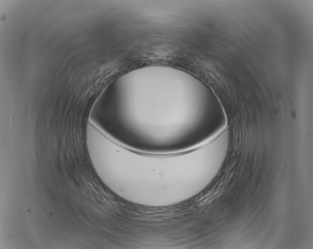 X0000061741156200512021034