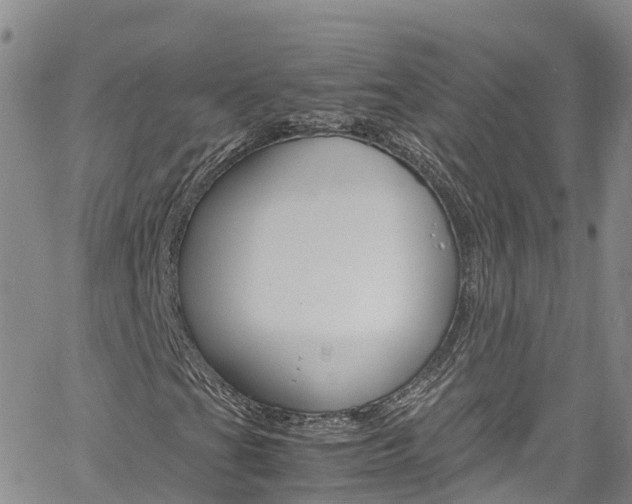 X0000061741201200512021032