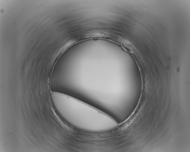 X0000061741233200512021033