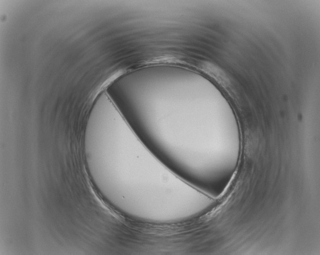 X0000061741241200512021033