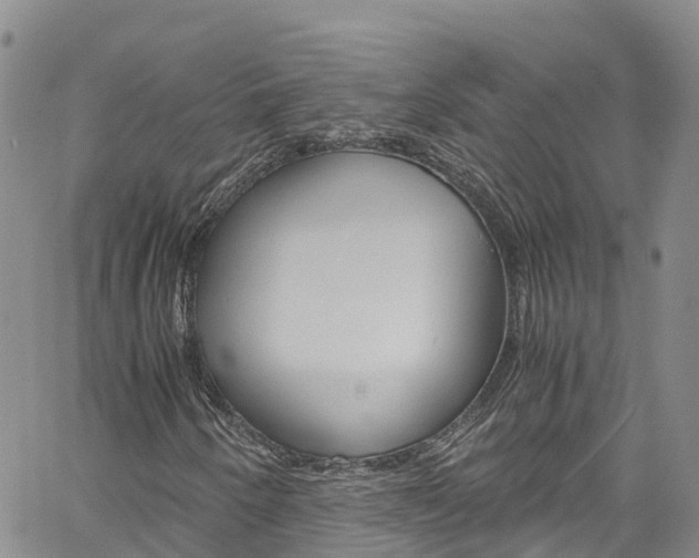 X0000061741250200512021032