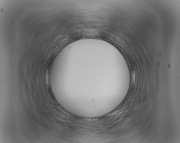 X0000061741251200512021032