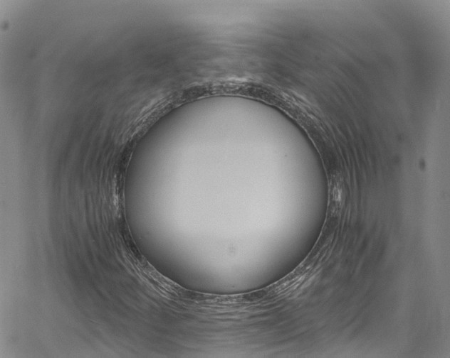 X0000061741252200512021032