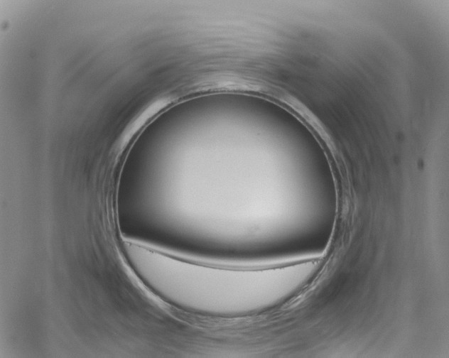 X0000061741293200512021031