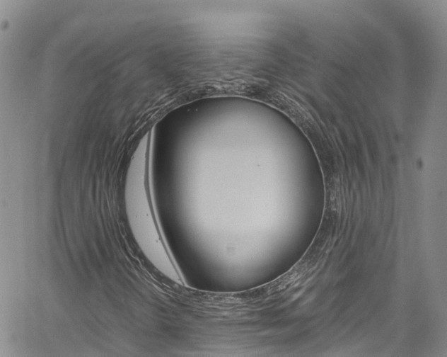 X0000061741298200512021031