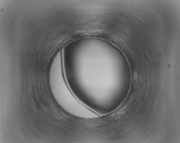 X0000061741300200512021031