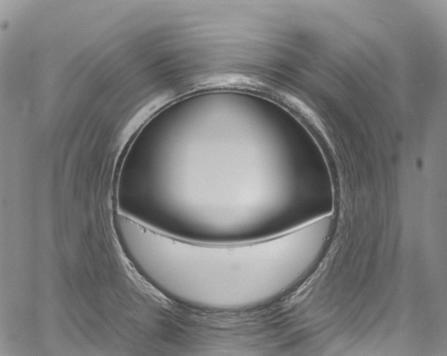 X0000061741330200512021031