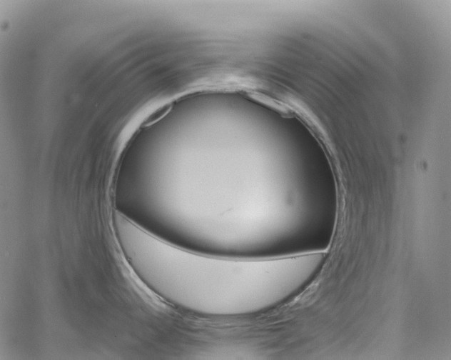 X0000061741344200512021031