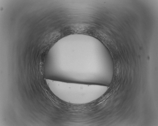 X0000061741346200512021030