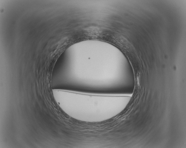 X0000061741347200512021030