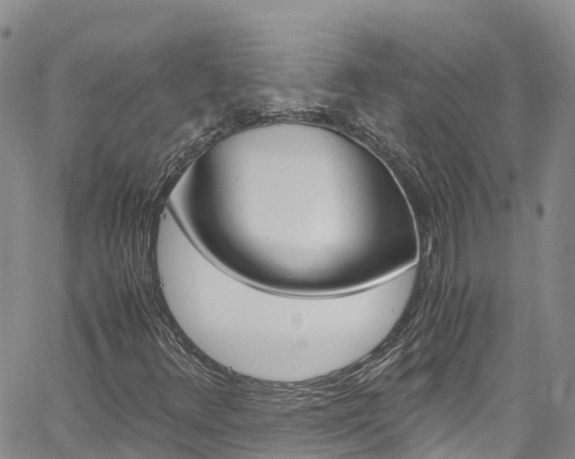 X0000061741348200512021030