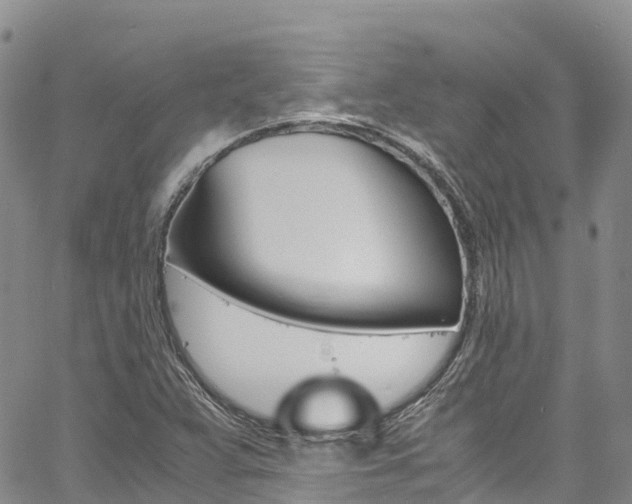 X0000061741359200512021030