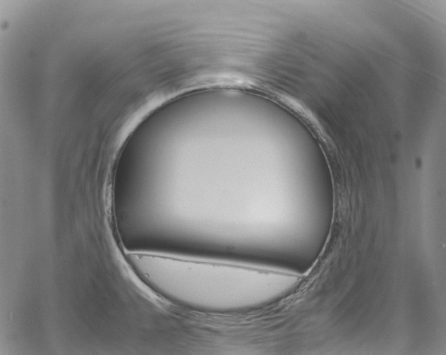 X0000061741383200512021030