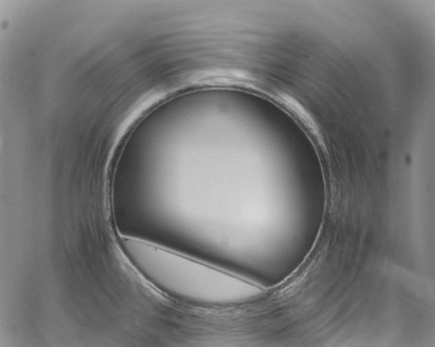 X0000061741384200512021030