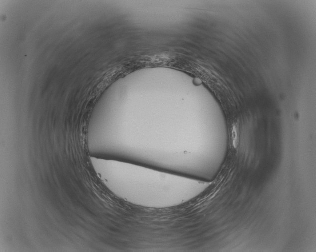 X0000061741395200512021029