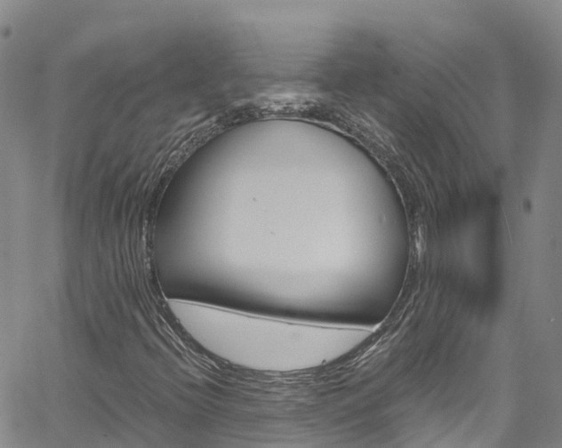 X0000061741396200512021029