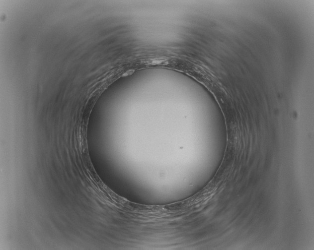 X0000061741442200512021029