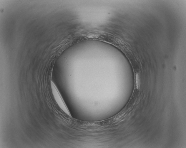 X0000061741443200512021029