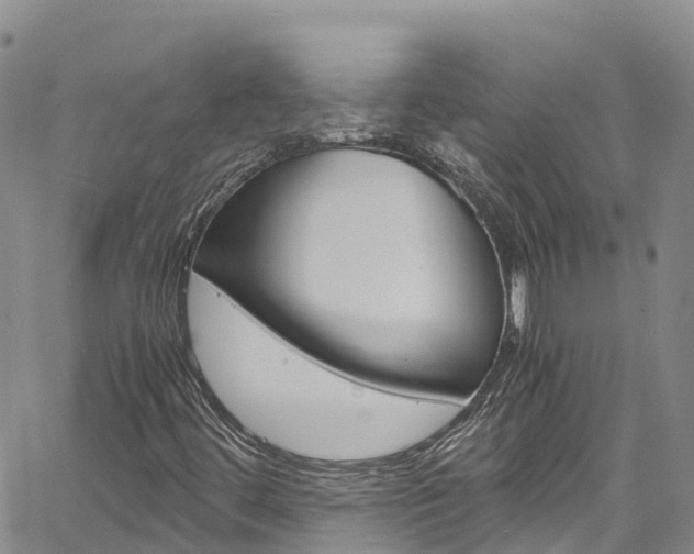 X0000061741444200512021029