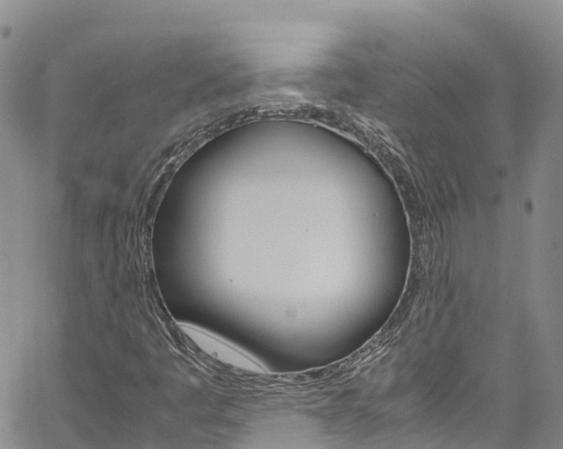 X0000061741445200512021029