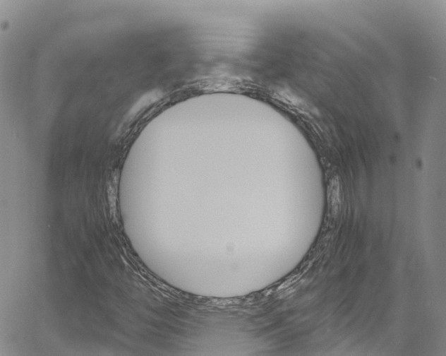X0000061741446200512021029