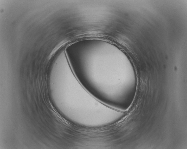 X0000061741450200512021029