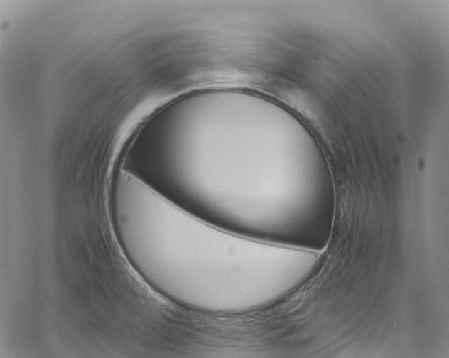 X0000061741472200512021028