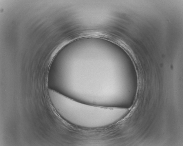 X0000061741481200512021028
