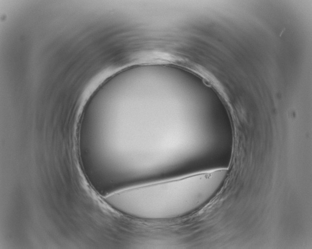X0000061741488200512021028