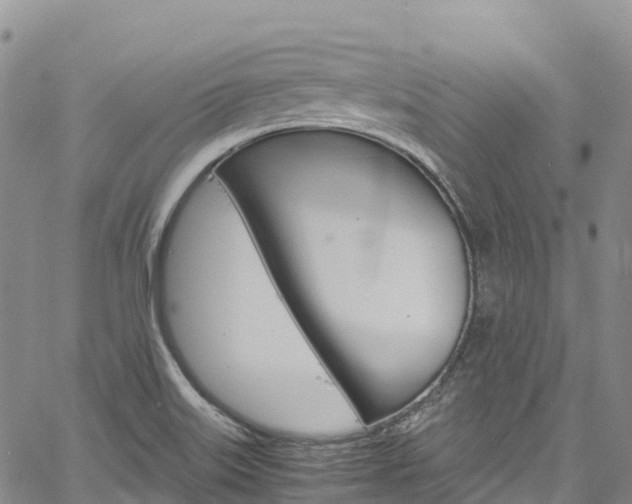 X0000061741515200512021028