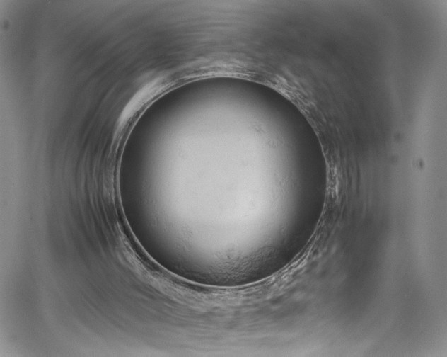 X0000061740004200512021454